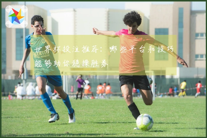 世界杯投注推荐：哪些平台和技巧能够助你稳操胜券
