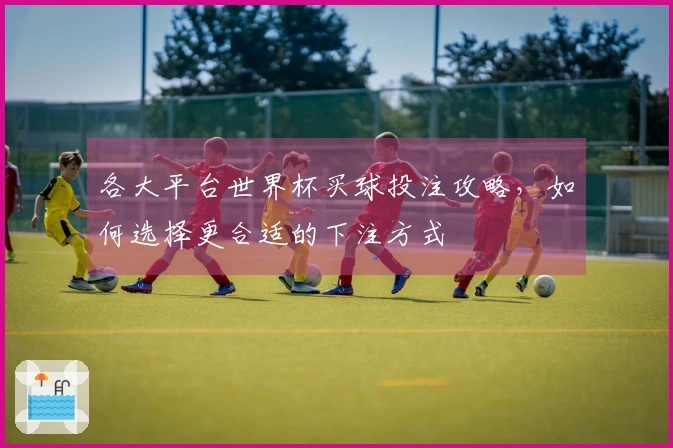 各大平台世界杯买球投注攻略，如何选择更合适的下注方式