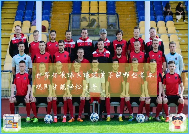 世界杯滚球买球需要了解哪些基本规则才能轻松上手
