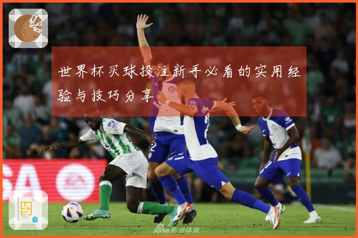 世界杯买球投注新手必看的实用经验与技巧分享