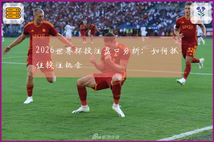2026世界杯投注盘口分析：如何抓住投注机会