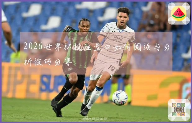 2026世界杯投注盘口如何阅读与分析技巧分享